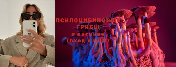 хмурый Кулебаки