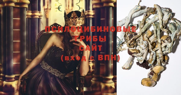 PSILOCYBIN Лихославль