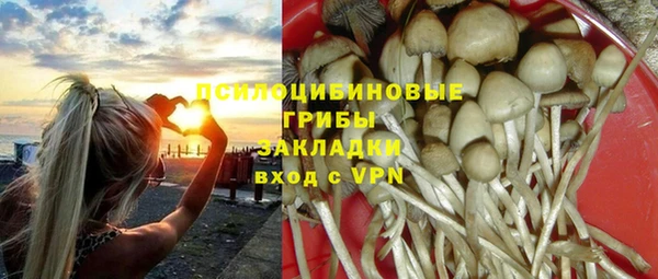 хмурый Кулебаки