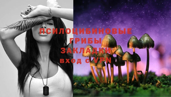 хмурый Кулебаки