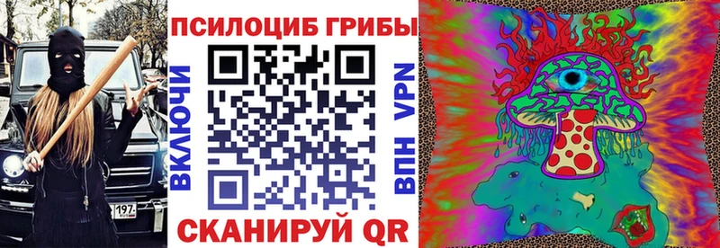 Купить закладки  Искитим  Галлюциногенные грибы мицелий 